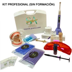 Kit Profesional (sin formación)